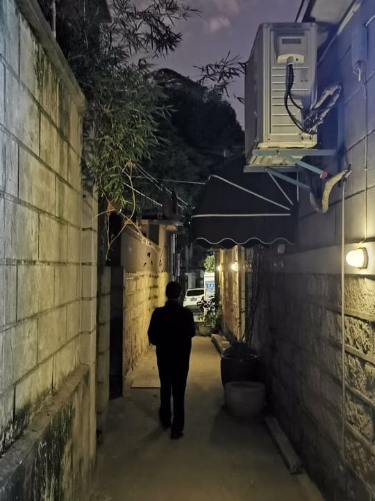 秋苇