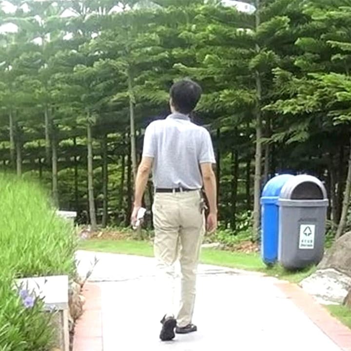 秋苇